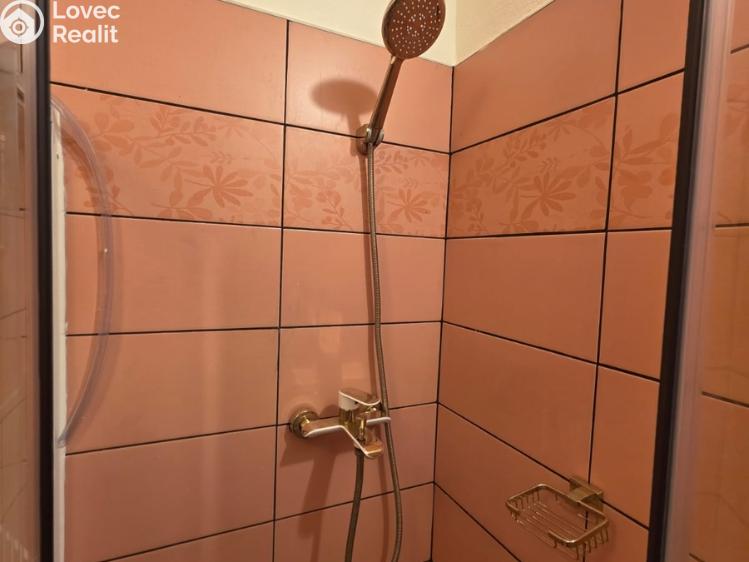 Rent hotel Praha, Nečova č. 27