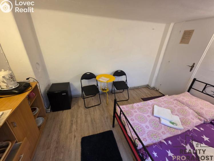 Pronájem ubytovacího zařízení Praha, Nečova č. 15