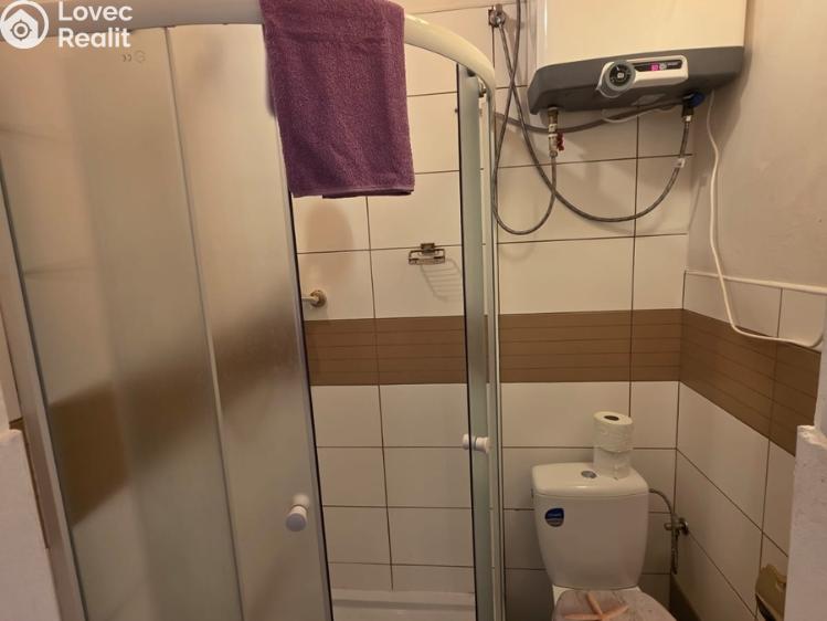 Pronájem ubytovacího zařízení Praha, Nečova č. 18