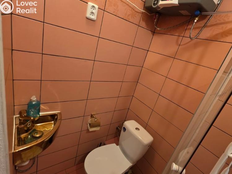 Pronájem ubytovacího zařízení Praha, Nečova č. 28