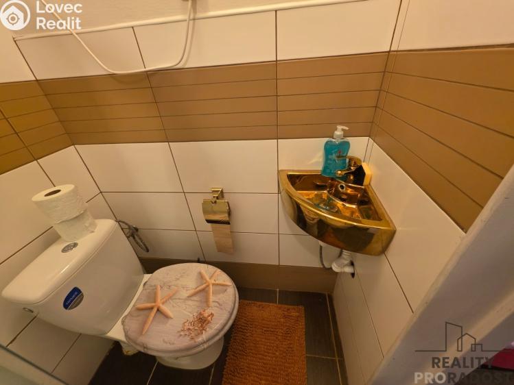 Pronájem ubytovacího zařízení Praha, Nečova č. 16