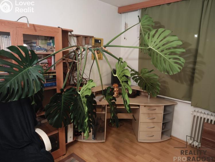 Продажа квартиры 2+1 Chomutov, Bezručova č. 11