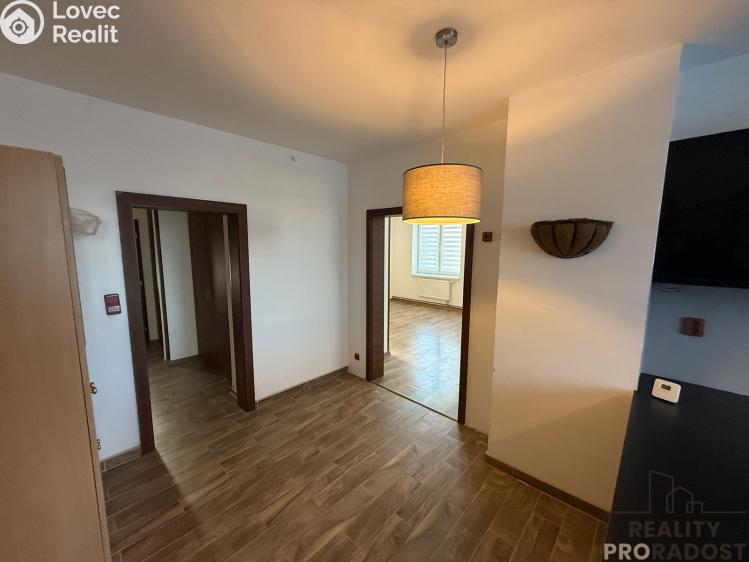 Pronájem bytu 3+KK Podivín č. 15