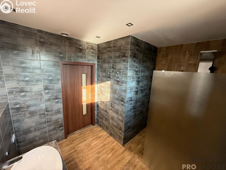 Pronájem bytu 3+KK Podivín č. 18