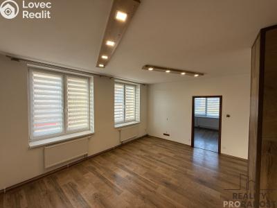 Pronájem bytu 3+KK Podivín č. 1