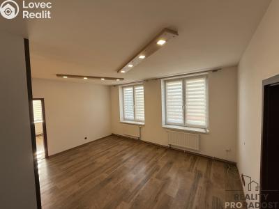 Pronájem bytu 3+KK Podivín č. 4