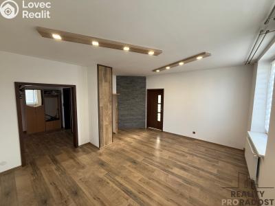 Pronájem bytu 3+KK Podivín č. 5