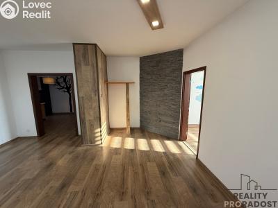 Pronájem bytu 3+KK Podivín č. 6