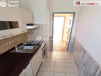 Pronájem bytu 2+1 Děčín, Slezská č. 3