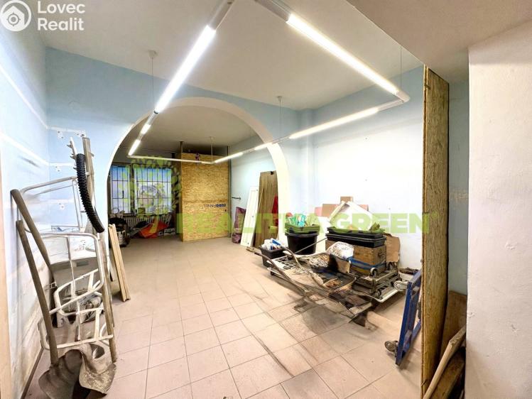 Оренда торгового приміщення Napajedla, Palackého č. 7