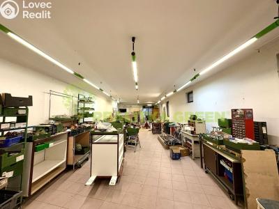 Оренда торгового приміщення Napajedla, Palackého č. 1