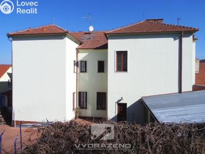 Prodej obchodního prostoru Dolní Kounice, Hlavní č. 4