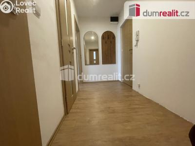 Продаж квартири 1+1 Frýdek-Místek, Pionýrů č. 6