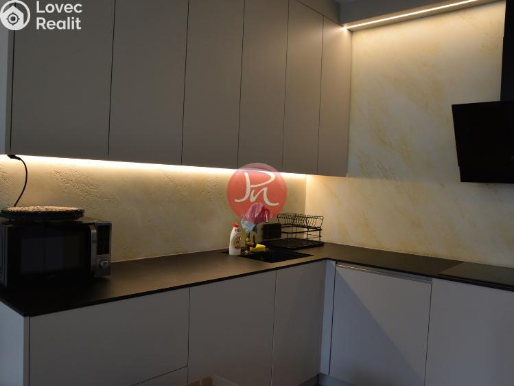 Rent apartment 2+KK Ostrava, F. X. Riepla č. 1