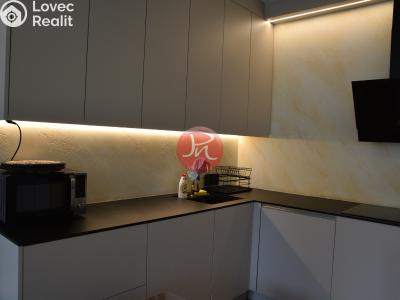 Pronájem bytu 2+KK Ostrava, F. X. Riepla č. 1