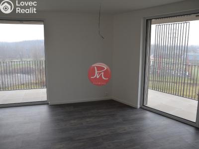 Pronájem bytu 2+KK Ostrava, F. X. Riepla č. 3