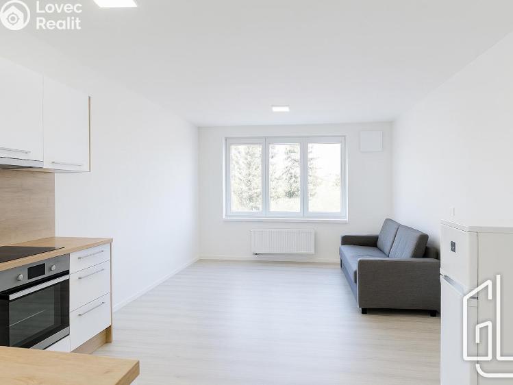 Pronájem bytu 1+KK Brno č. 1