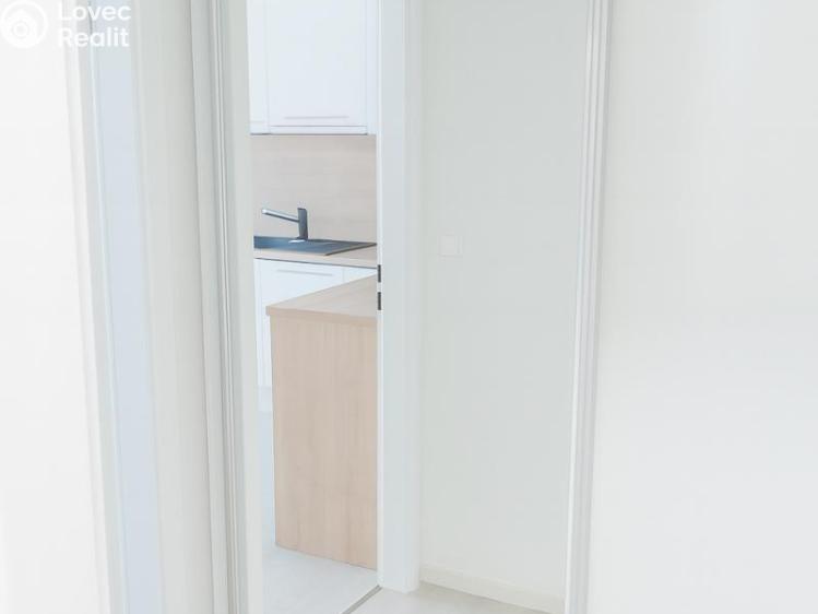 Pronájem bytu 1+KK Brno č. 3