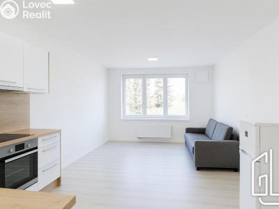 Pronájem bytu 1+KK Brno č. 1