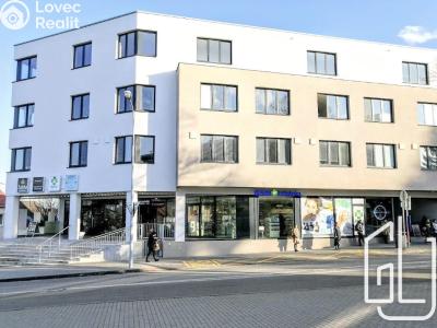 Pronájem bytu 1+KK Brno č. 4