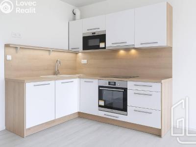 Pronájem bytu 1+KK Brno č. 5