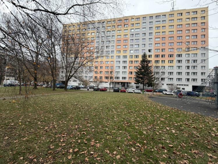 Pronájem bytu 1+KK Pardubice, Družby 340 č. 1