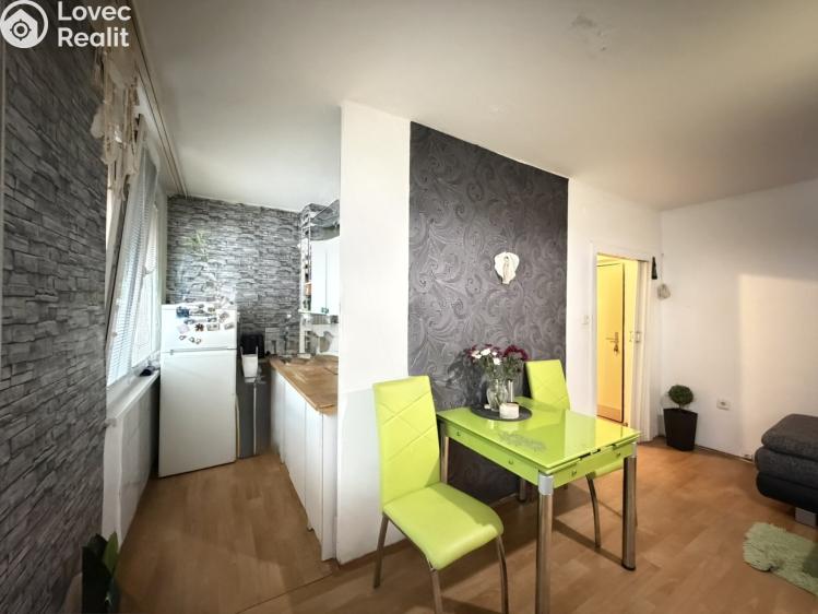 Pronájem bytu 1+KK Pardubice, Družby 340 č. 7