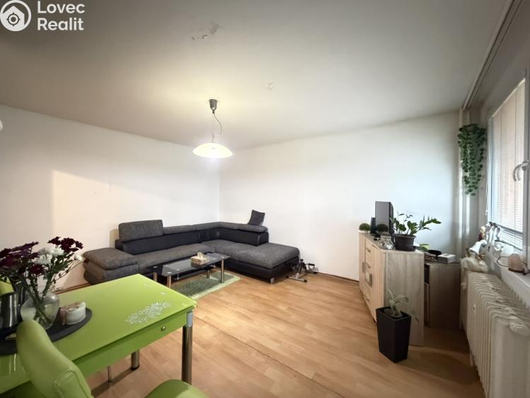 Pronájem bytu 1+KK Pardubice, Družby 340 č. 8