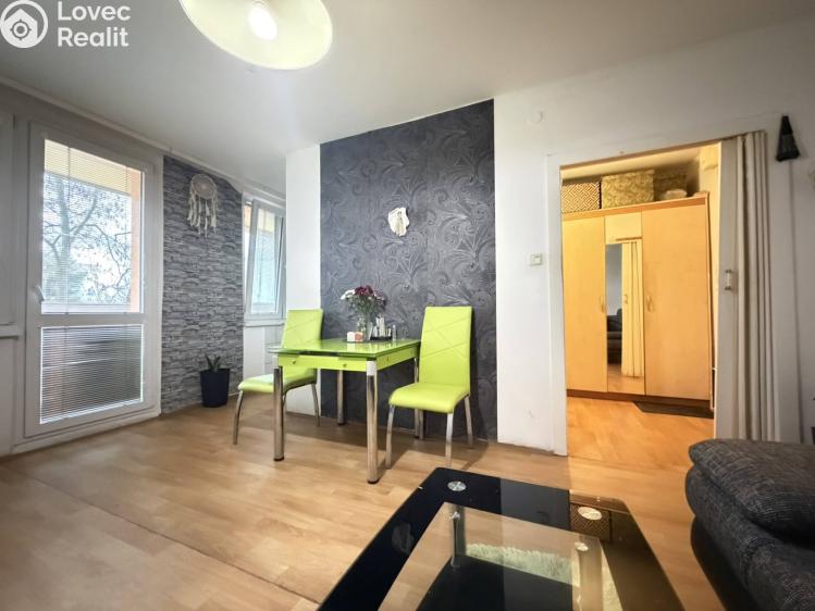 Pronájem bytu 1+KK Pardubice, Družby 340 č. 9