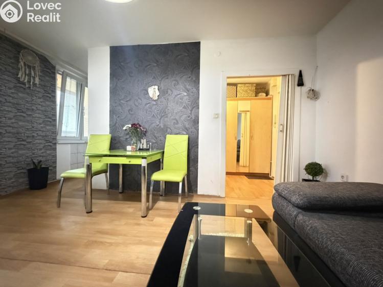 Pronájem bytu 1+KK Pardubice, Družby 340 č. 10