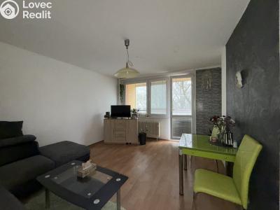 Pronájem bytu 1+KK Pardubice, Družby 340 č. 2