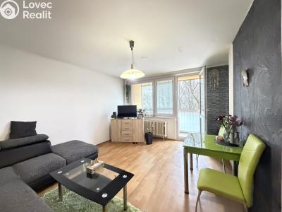 Pronájem bytu 1+KK Pardubice, Družby 340 č. 3