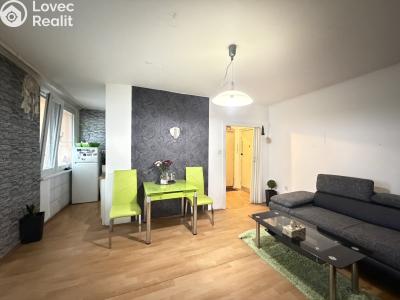 Pronájem bytu 1+KK Pardubice, Družby 340 č. 5