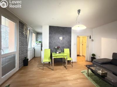 Pronájem bytu 1+KK Pardubice, Družby 340 č. 6