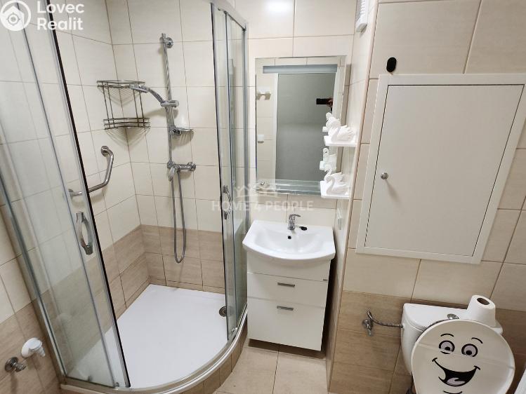 Pronájem bytu 2+1 Lovosice, Osvoboditelů č. 5