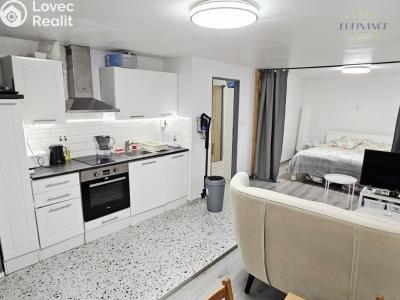 Prodej bytu 1+KK Kralupy nad Vltavou, Přemyslova 375 č. 1