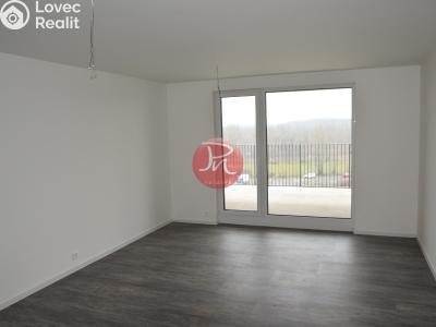 Pronájem bytu 3+KK Ostrava, F. X. Riepla č. 2