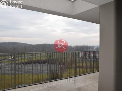 Pronájem bytu 3+KK Ostrava, F. X. Riepla č. 4