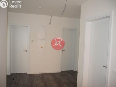 Pronájem bytu 3+KK Ostrava, F. X. Riepla č. 6