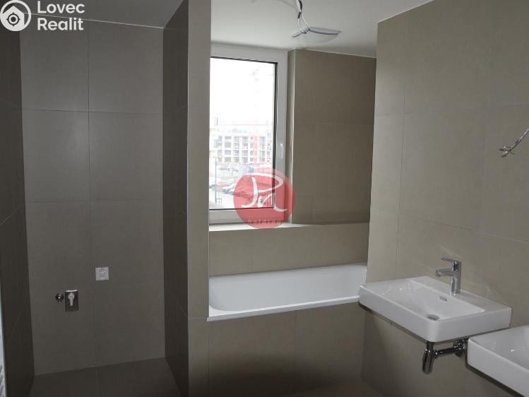 Pronájem bytu 3+KK Ostrava, F. X. Riepla č. 10