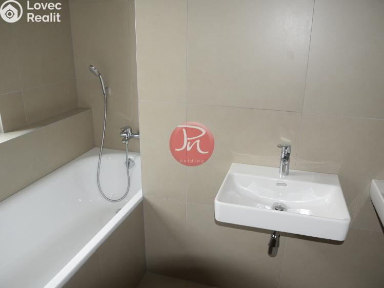 Pronájem bytu 3+KK Ostrava, F. X. Riepla č. 11