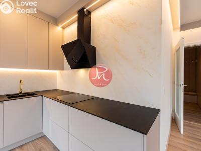 Pronájem bytu 3+KK Ostrava, F. X. Riepla č. 1