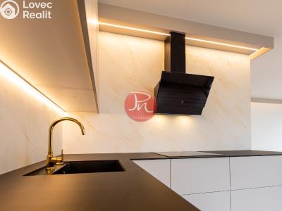 Pronájem bytu 3+KK Ostrava, F. X. Riepla č. 2