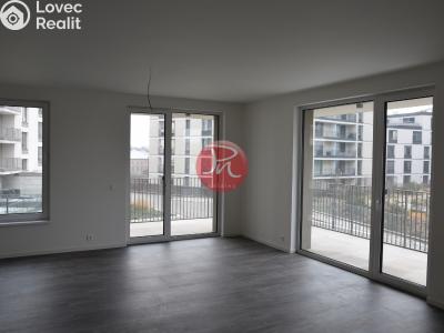 Pronájem bytu 3+KK Ostrava, F. X. Riepla č. 3