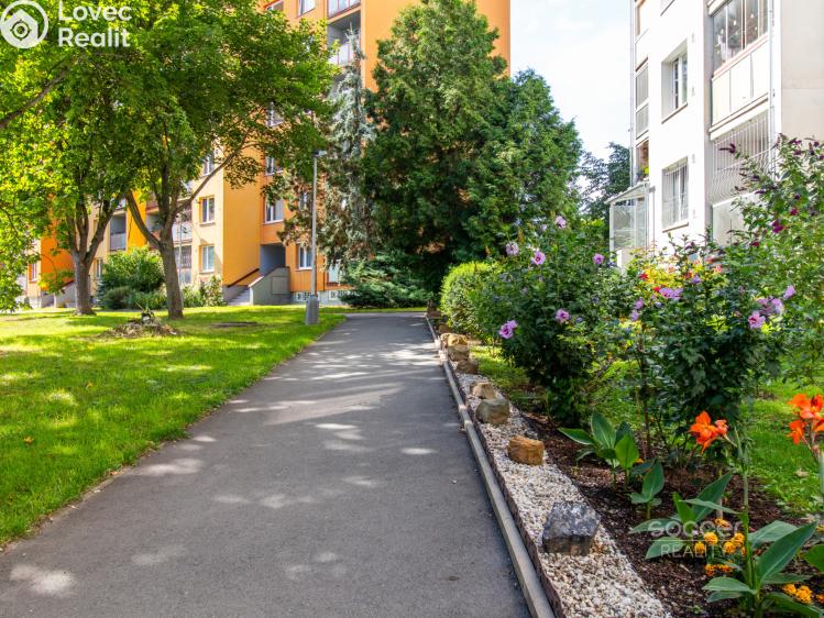 Pronájem bytu 2+1 Praha, Cíglerova č. 4