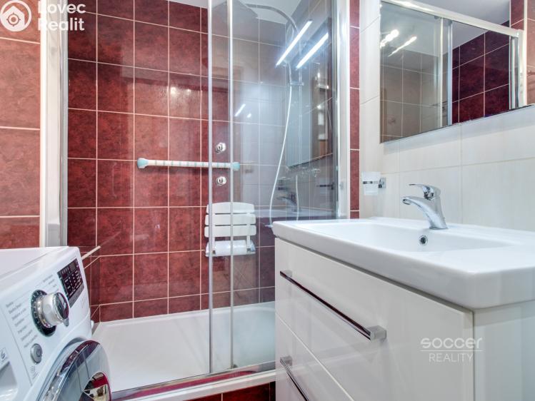 Pronájem bytu 2+1 Praha, Cíglerova č. 22