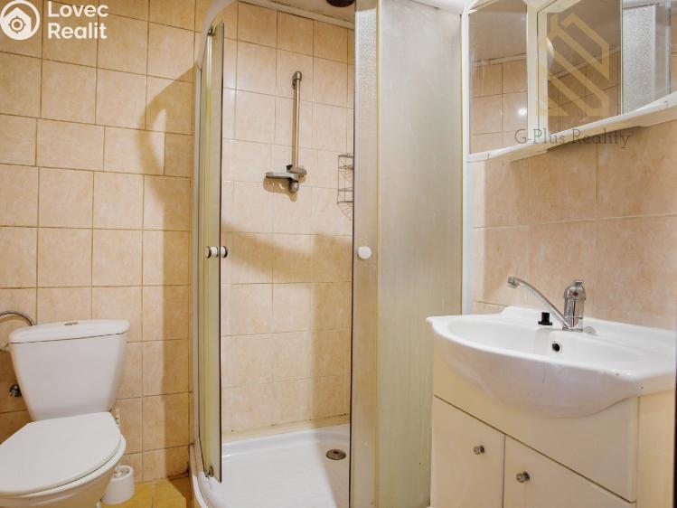 Продаж сімейного будинку Libochovice, Riegrova č. 21