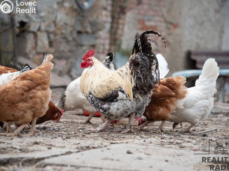 Продаж сімейного будинку Přeskače č. 11