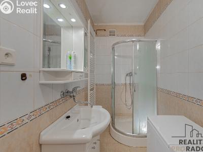 Продажа семейного дома Přeskače č. 2