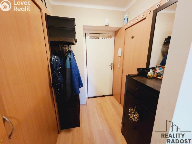 Pronájem bytu 1+1 Dubňany, Hornická č. 5